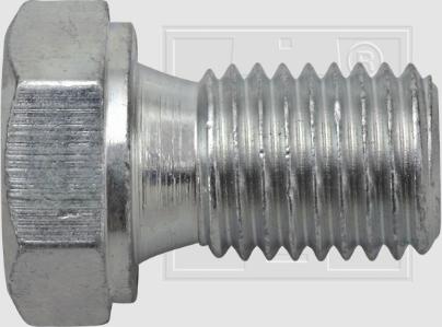 SWGAutomotive 243 001 009 16 - Болтова пробка, маслен картер vvparts.bg