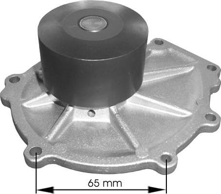 TECDRIVE TPAE0330 - Водна помпа vvparts.bg