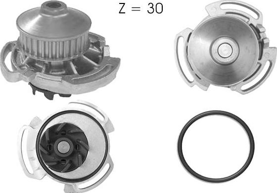 TECDRIVE TPAE0254 - Водна помпа vvparts.bg