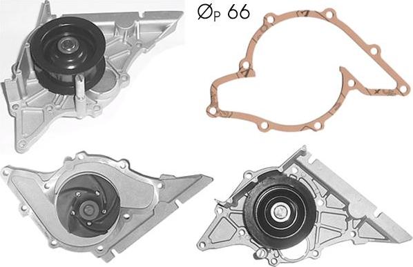 TECDRIVE TPAE0257 - Водна помпа vvparts.bg