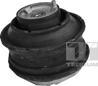 Tedgum 00416445 - Окачване, двигател vvparts.bg