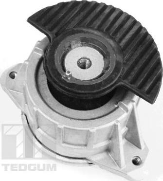 Tedgum 00418476 - Окачване, двигател vvparts.bg