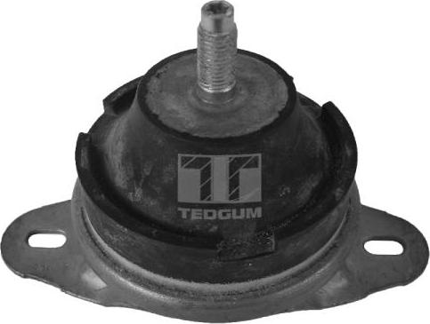 Tedgum 00514176 - Окачване, двигател vvparts.bg