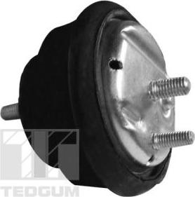 Tedgum 00089778 - Окачване, двигател vvparts.bg