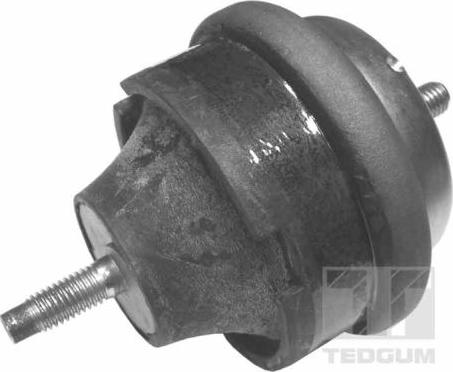 Tedgum 00145015 - Окачване, двигател vvparts.bg