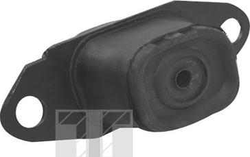 Tedgum TED15980 - Окачване, двигател vvparts.bg