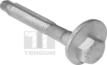 Tedgum TED39597 - Винт vvparts.bg