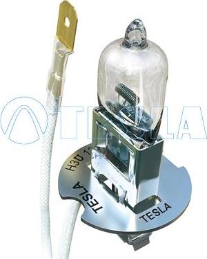 TESLA B10301 - Крушка с нагреваема жичка, фар за дълги светлини vvparts.bg