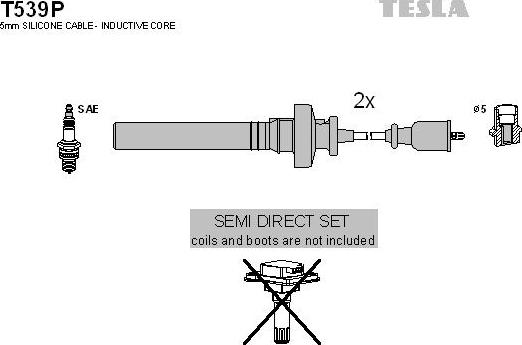TESLA T539P - Комплект запалителеи кабели vvparts.bg