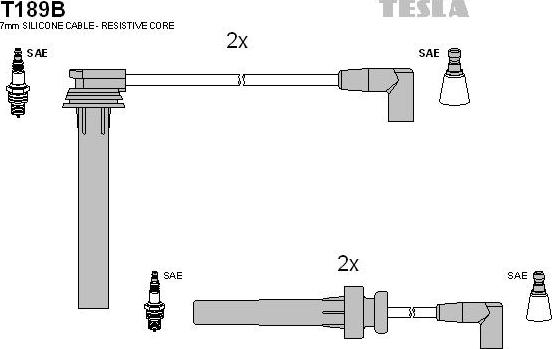 TESLA T189B - Комплект запалителеи кабели vvparts.bg