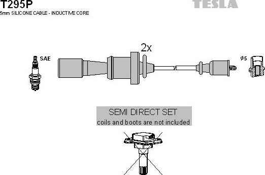 TESLA T295P - Комплект запалителеи кабели vvparts.bg
