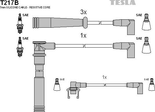 TESLA T217B - Комплект запалителеи кабели vvparts.bg