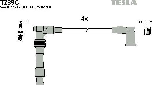 TESLA T289C - Комплект запалителеи кабели vvparts.bg
