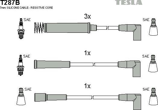 TESLA T287B - Комплект запалителеи кабели vvparts.bg