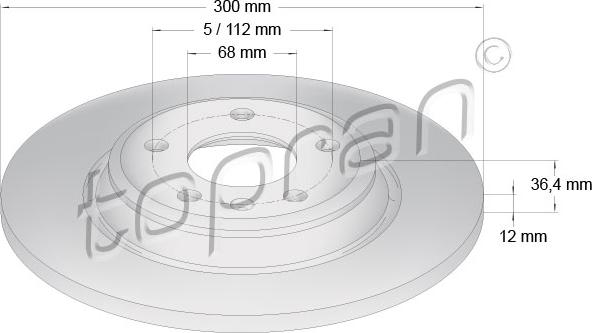 Topran 113 011 - Спирачен диск vvparts.bg