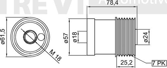 Trevi Automotive AP1096 - Ремъчна шайба, генератор vvparts.bg