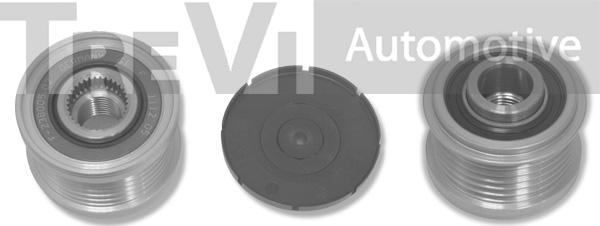 Trevi Automotive AP1048 - Ремъчна шайба, генератор vvparts.bg