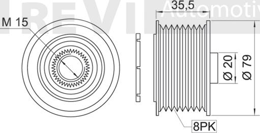 Trevi Automotive AP1059 - Ремъчна шайба, генератор vvparts.bg