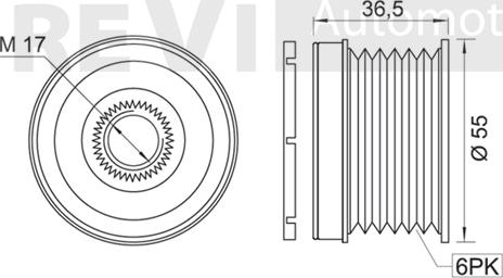 Trevi Automotive AP1058 - Ремъчна шайба, генератор vvparts.bg