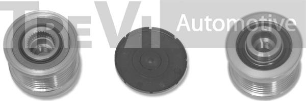 Trevi Automotive AP1062 - Ремъчна шайба, генератор vvparts.bg
