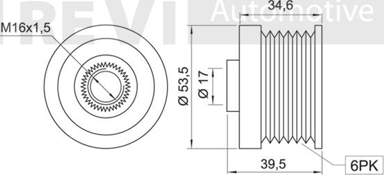 Trevi Automotive AP1062 - Ремъчна шайба, генератор vvparts.bg