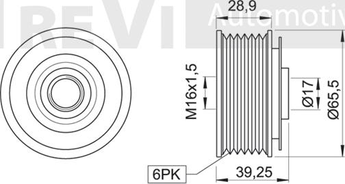 Trevi Automotive AP1081 - Ремъчна шайба, генератор vvparts.bg