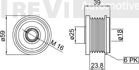 Trevi Automotive AP1082 - Ремъчна шайба, генератор vvparts.bg