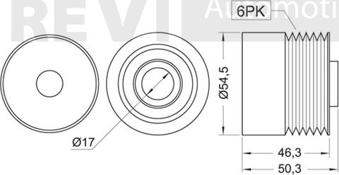 Trevi Automotive AP1039 - Ремъчна шайба, генератор vvparts.bg