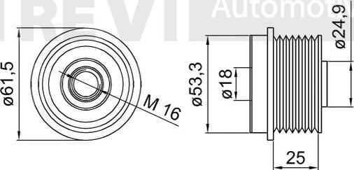 Trevi Automotive AP1140 - Ремъчна шайба, генератор vvparts.bg