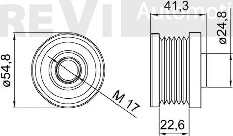 Trevi Automotive AP1187 - Ремъчна шайба, генератор vvparts.bg