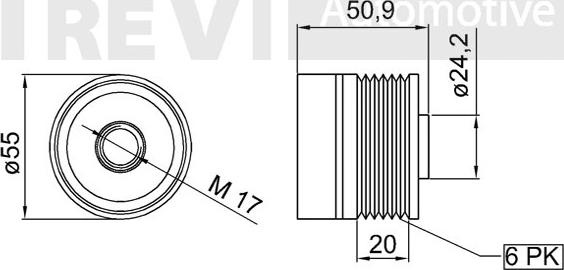 Trevi Automotive AP1176 - Ремъчна шайба, генератор vvparts.bg