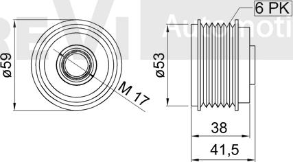 Trevi Automotive AP1213 - Ремъчна шайба, генератор vvparts.bg