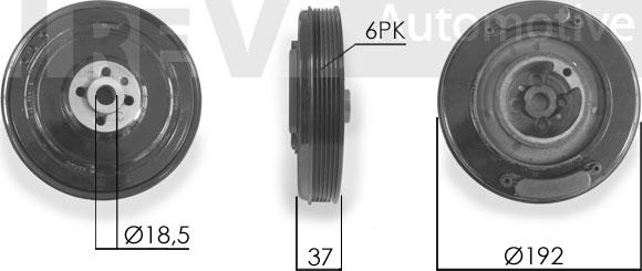 Trevi Automotive PC1011 - Ремъчна шайба, колянов вал vvparts.bg