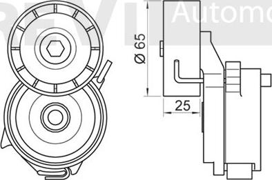 Trevi Automotive TA1983 - Ремъчен обтегач, пистов ремък vvparts.bg