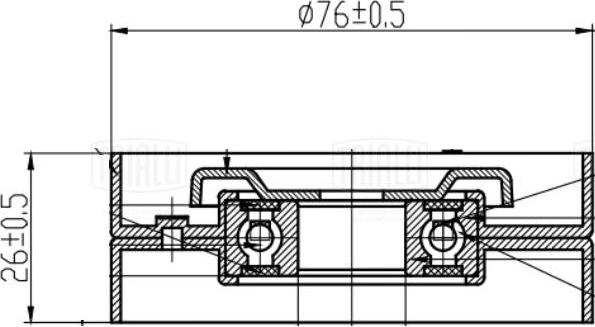 Trialli CM 5409 - Ремъчен обтегач, пистов ремък vvparts.bg