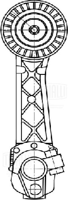 Trialli CM 5473 - Ремъчен обтегач, пистов ремък vvparts.bg