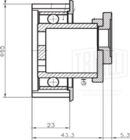 Trialli CM 5207 - Обтяжна ролка, ангренаж vvparts.bg