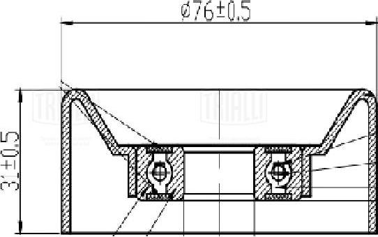 Trialli CM 5759 - Паразитна / водеща ролка, пистов ремък vvparts.bg