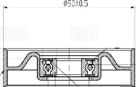 Trialli CM 5738 - Ремъчен обтегач, пистов ремък vvparts.bg