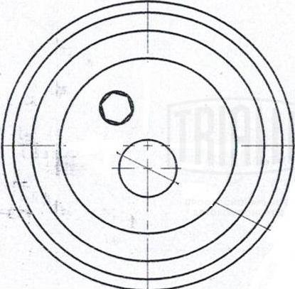 Trialli CM 6096 - Обтяжна ролка, ангренаж vvparts.bg