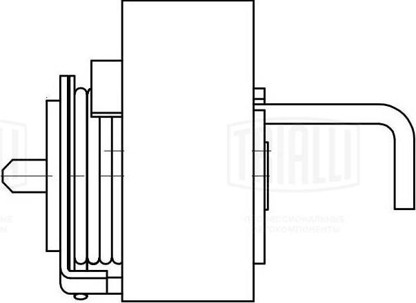 Trialli CM 6110 - Обтяжна ролка, ангренаж vvparts.bg