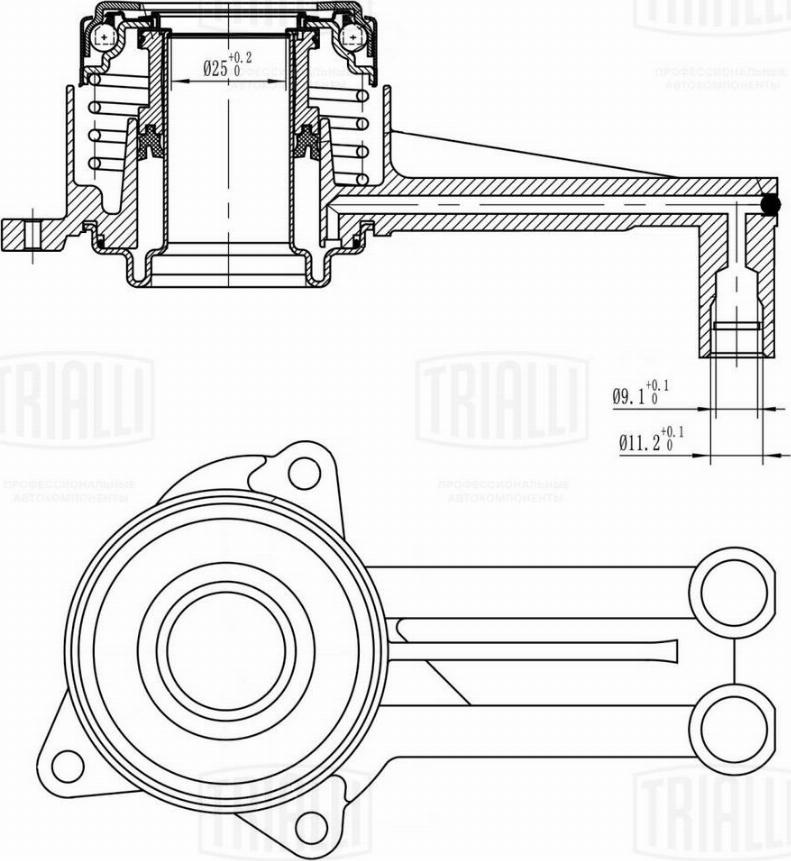 Trialli CT 1004 - Лагер помпа, съединител vvparts.bg