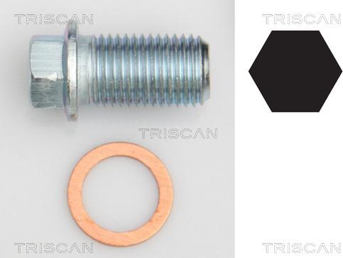 Triscan 9500 1012 - Болтова пробка, маслен картер vvparts.bg