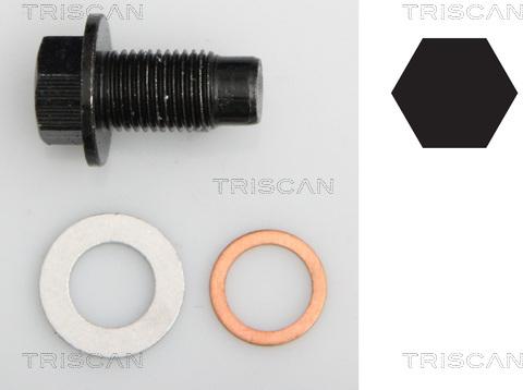 Triscan 9500 1020 - Болтова пробка, маслен картер vvparts.bg