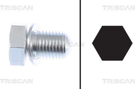 Triscan 9500 2903-400 - Болтова пробка, маслен картер vvparts.bg