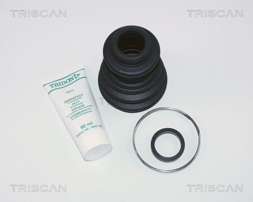 Triscan 8540 10806 - Маншон, полуоска vvparts.bg