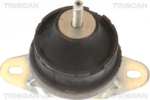 Triscan 8505 10131 - Окачване, двигател vvparts.bg