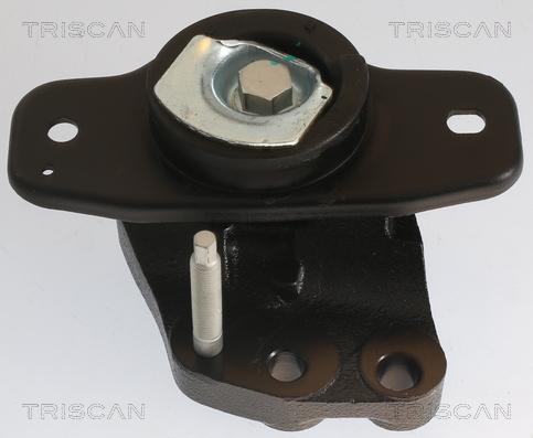 Triscan 8505 10128 - Окачване, двигател vvparts.bg