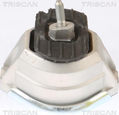 Triscan 8505 11115 - Окачване, двигател vvparts.bg