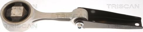 Triscan 8505 29102 - Окачване, двигател vvparts.bg